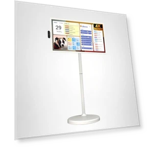 Умный портативный телевизор с сенсорным экраном — Портативные и ручные телевизоры, Apolosign