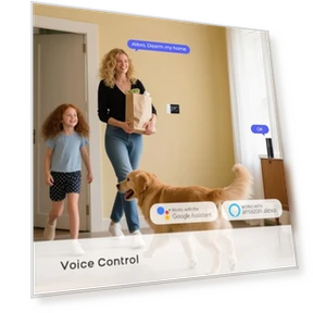 Беспроводная домашняя система сигнализации с сенсорным экраном — Домашние системы безопасности, PGST