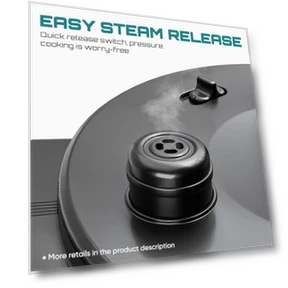 Электрическая скороварка — Мультиварки, OLIXIS