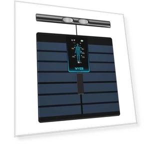 Умные весы с ручкой для анализа состава тела — Анализаторы состава тела, Wyze