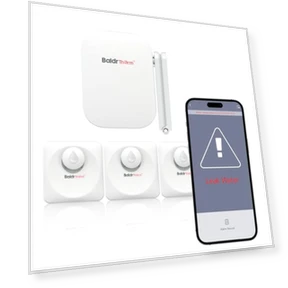 Детектор утечки воды — Детекторы и сигнализации утечки воды, Baldr