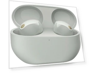 Беспроводные наушники, серебристый — Внутриканальные наушники, Sony