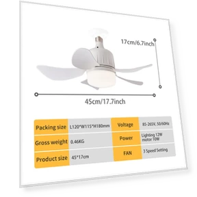 Потолочный вентилятор с регулируемой яркостью освещения и дистанционным управлением — Потолочные вентиляторы, Intelligent Living Hall