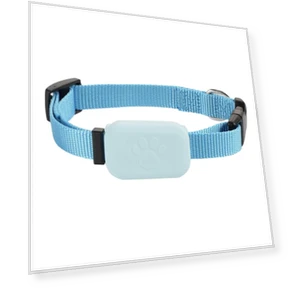 GPS-трекер для домашних животных с регулируемым ошейником — Трекеры, Toool-Home