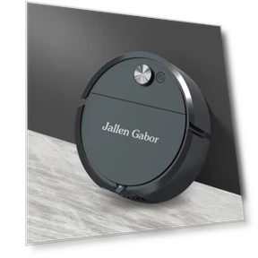 Уборочный робот — Роботы-пылесосы, Winter Gloves