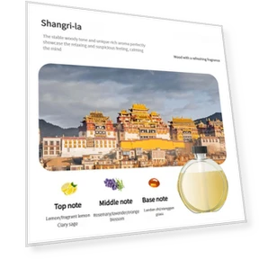 Умный настенный диффузор для эфирных масел — Диффузоры, Homeware Essentials