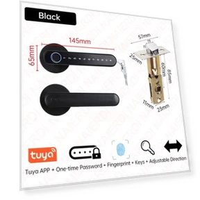 Биометрический дверной замок с отпечатком пальца — Считыватели карт, Ideal World