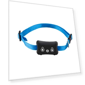 GPS-трекер для домашних животных и вещей — Поисковики вещей, Brioche