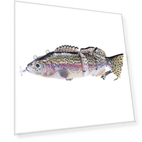 Роботизированная рыболовная приманка — Искусственные приманки, leayond