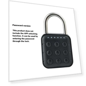 Умный навесной замок — Замки и петли, RAYKUBE