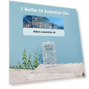 Диффузор эфирных масел с USB-зарядкой — Диффузоры, Aura Living