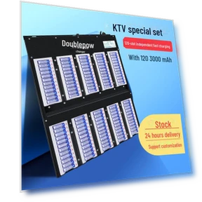 Умное зарядное устройство с 120 перезаряжаемыми батарейками — Зарядные устройства, Doublepow Battery