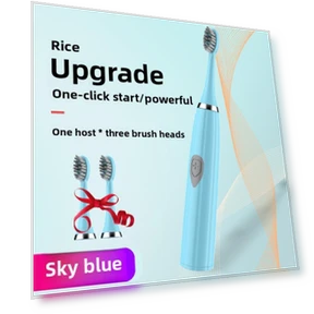 Портативная электрическая зубная щетка — Зарядные устройства, Binchi Health Technology