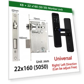 Умный замок для двери гостиничной квартиры — Биометрия, RAYKUBE