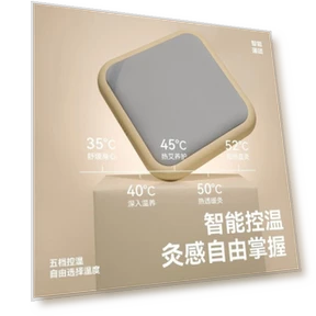 Умное устройство для бездымной моксотерапии и тепловой терапии — Термотерапия, Zuodian