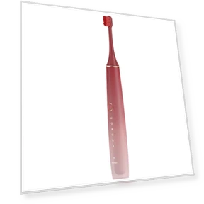 Умная звуковая электрическая зубная щетка — Звуковые зубные щетки, ROAMAN