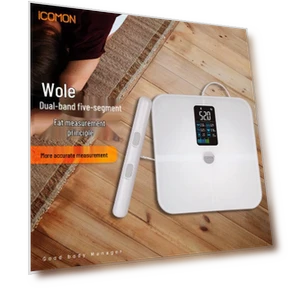 Высокоточные умные весы для анализа состава тела — Весы для контроля веса, ICOMON