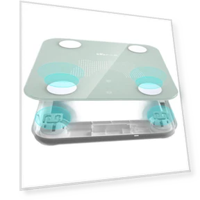 Умные весы для анализа состава тела — Весы для контроля веса, Little Bear