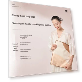 Подушка для оздоровления с полынью — Альтернативная медицина, Ai Xiu Tang