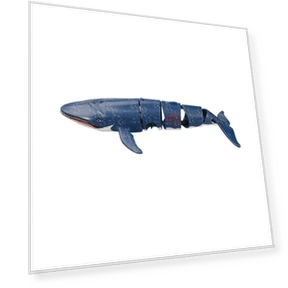 Умная радиоуправляемая акула — Водный транспорт, Pretty life