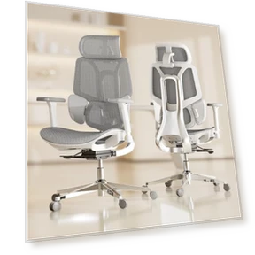 Эргономичное офисное кресло с динамической поддержкой поясницы — Офисные кресла, Hbada