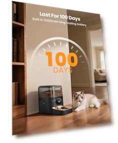 Автоматическая кормушка для кошек с Wi-Fi и аккумулятором — Автоматические кормушки, oneisall