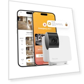 Интерактивная панорамная камера для домашних животных и безопасности дома — Камеры и мониторы, Petcube