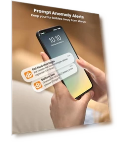 Автоматическая кормушка для кошек — Автоматические кормушки, oneisall