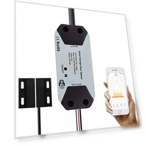 Умный контроллер для гаражных ворот — Брелоки и клавиатуры, EVERSECU