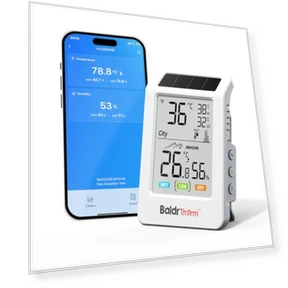 Термометр-гигрометр с Wi-Fi и Bluetooth — Комнатные термометры, BaldrTherm