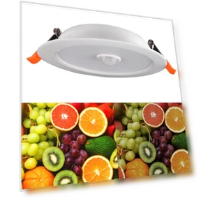 Встраиваемый светильник с датчиком движения — Встроенные светильники, KaiSai