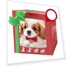 Робот-собака, электрический питомец — Электронные питомцы, Zhichuangyou