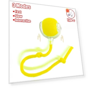 Интерактивная игрушка-мяч для кошек — Мячи, Pet World Home