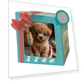 Робот-собака, электрический питомец — Электронные питомцы, Zhichuangyou