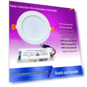 Аварийный светодиодный даунлайт с датчиком движения — Аварийные светильники, HomeHarmony