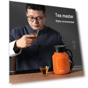 Умный термопот для тушения — Чайники и чайные машины, Temeike