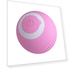 Перезаряжаемая интерактивная игрушка для кошек и собак — Мячи, Car Enthusiast