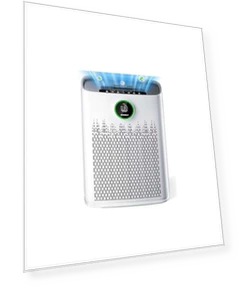 Очиститель воздуха для больших помещений — Угольные очистители, ECOSELF