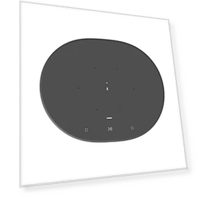 Портативная умная колонка с аккумулятором, Wi-Fi и Bluetooth, с поддержкой Alexa — Портативные колонки с Bluetooth, Sonos