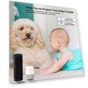 WiFi-датчик температуры и влажности для дома — Комнатные термометры, PHOVOLT