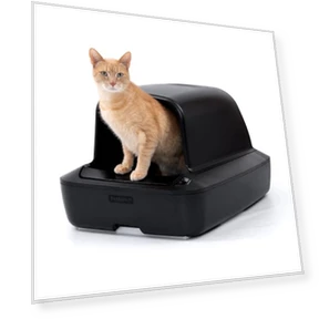 Автоматический самоочищающийся лоток для кошек — Системы приучения к туалету, PetSafe