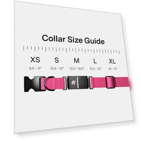 Умный ошейник-трекер для собак — Трекеры, Fi