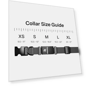 Умный ошейник-трекер для собак с GPS и мониторингом здоровья — Трекеры, Fi