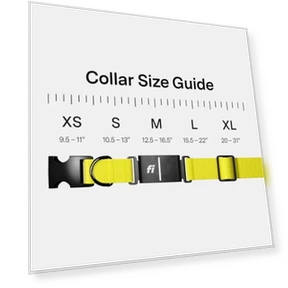 Умный ошейник-трекер для собак с GPS, мониторингом здоровья и поведения — Трекеры, Fi