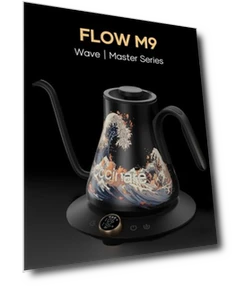 Электрический чайник с гусиной горловиной, точным контролем температуры для пуровера — Чайники и чайные машины, Cocinare