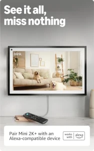 Домашняя и питомецовая камера безопасности с питанием от сети — Камеры видеонаблюдения, Blink