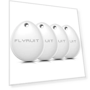 Трекер для поиска предметов — Поисковики вещей, FLYRUIT