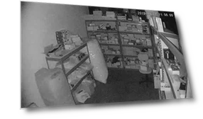 Детектор дыма со скрытой камерой — Корпуса и кронштейны для видеонаблюдения, AES Spy Cameras