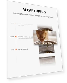 Автоматическая кормушка для кошек с камерой — Камеры и мониторы, PETKIT