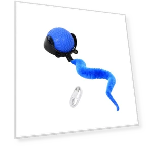 Интерактивная игрушка для кошек, катящийся мяч — Мячики, All in Watch